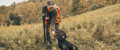 How To Choose the Right Shotgun for Upland Hunting