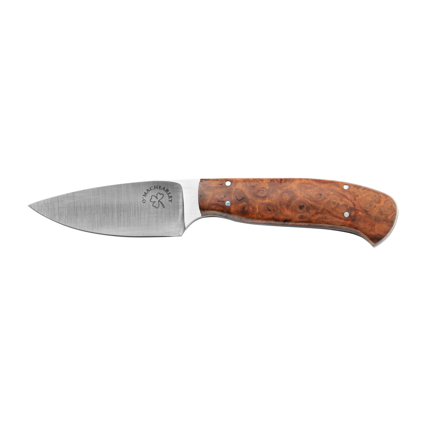 Steel Curly Maple Handle 154cm Blade Knife