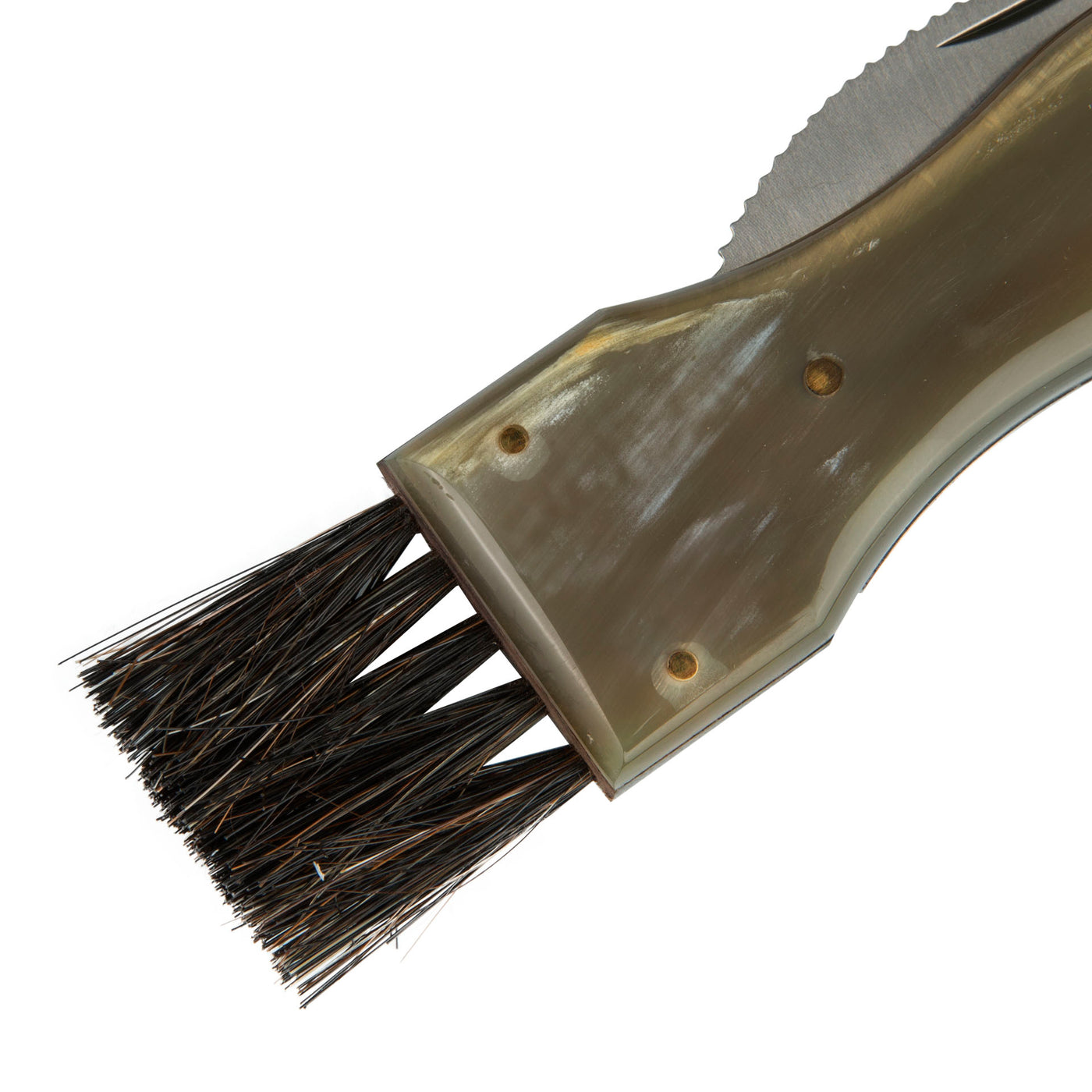 attached Mushroom cleaning Brush 