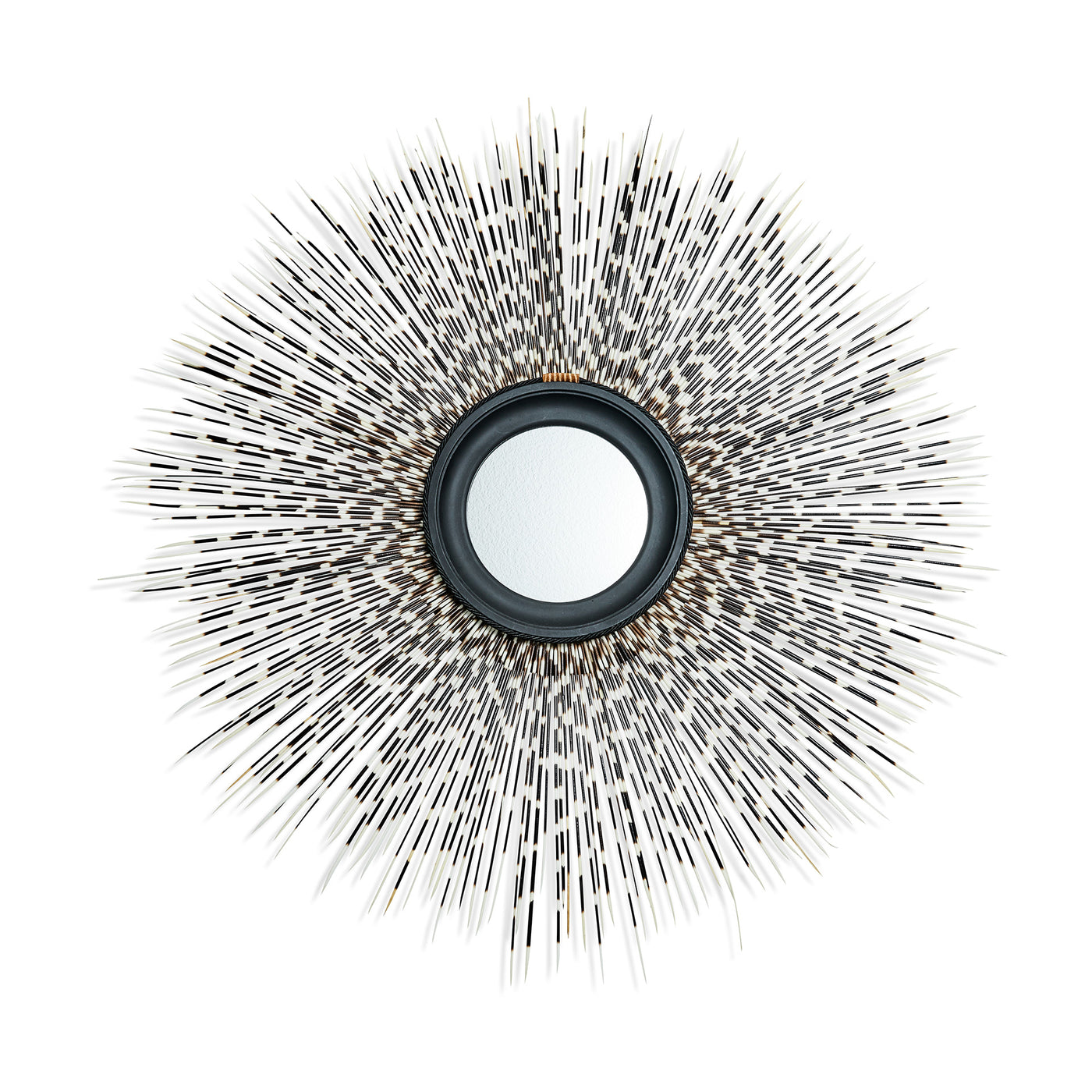 Porcupine Quill Frame Mirror