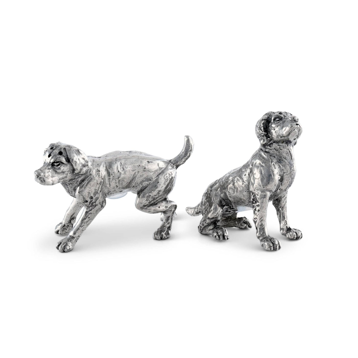 Salt & Pepper - Spaniels