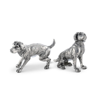 Salt & Pepper - Spaniels