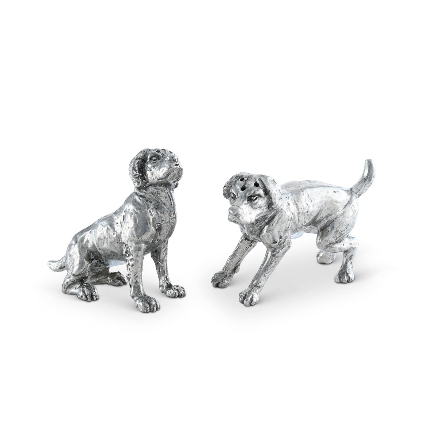 Salt & Pepper - Spaniels